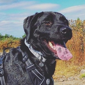 Fundraising Page: Keri Gonzalez